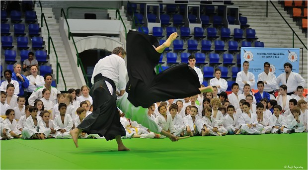 JORNADA DE JUDO INFANTIL Pamplona, 28 de mayo de 2016. Exhibiciones de Aikido, Kendo y Judo