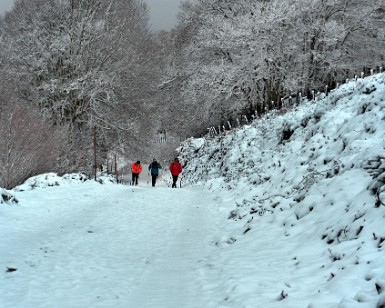 Roncesvalles